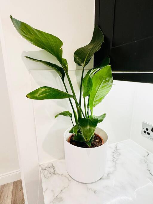 Beautiful Flat In Windsor Court Apartment Brighton Екстериор снимка